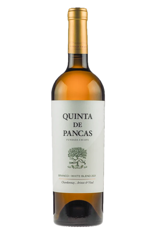 Quinta Pancas Branco 2021