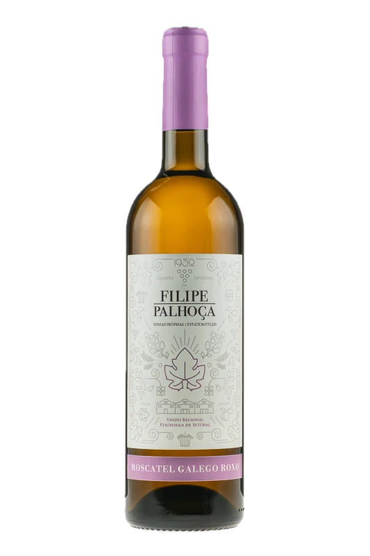 Filipe Palhoça Moscatel Galego Roxo 2023