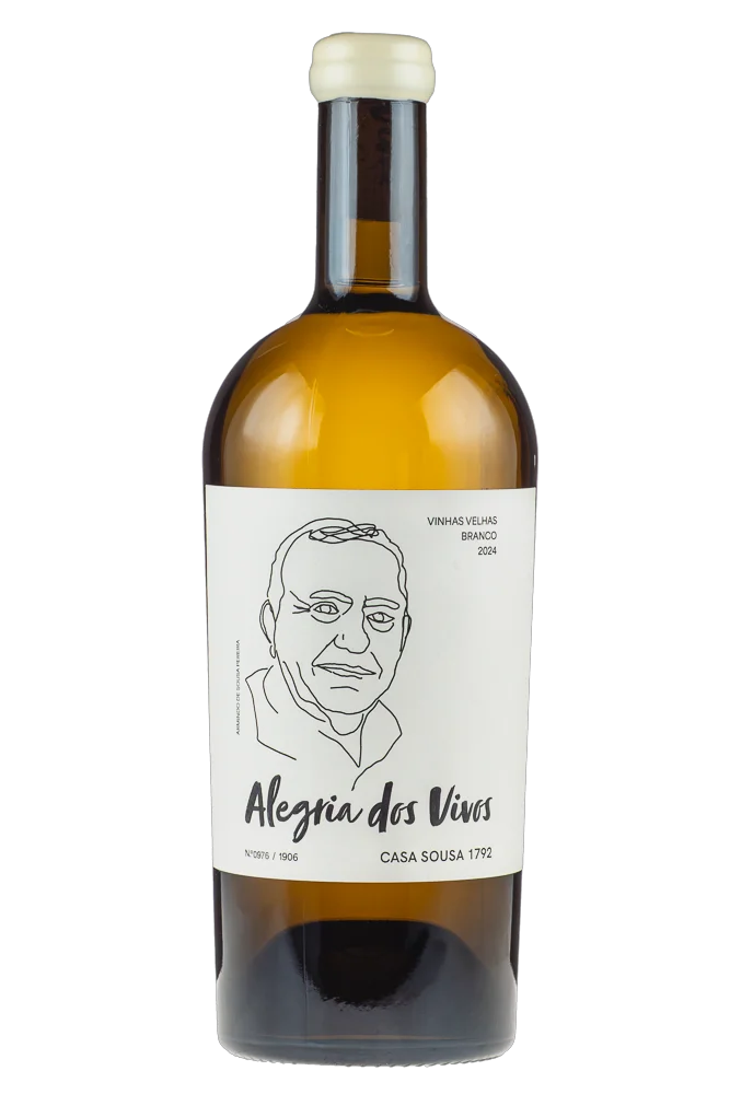 Vinho dos Mortos Alegria dos Vivos 2024